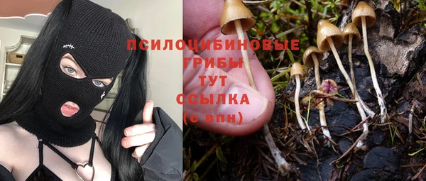 Альфа ПВП Абаза