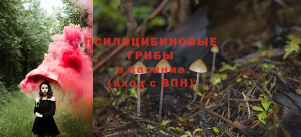 Альфа ПВП Абаза