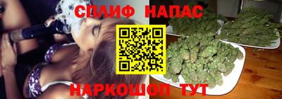 ешки Жуковский
