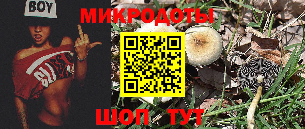 Галлюциногенные грибы ЛСД Назрань