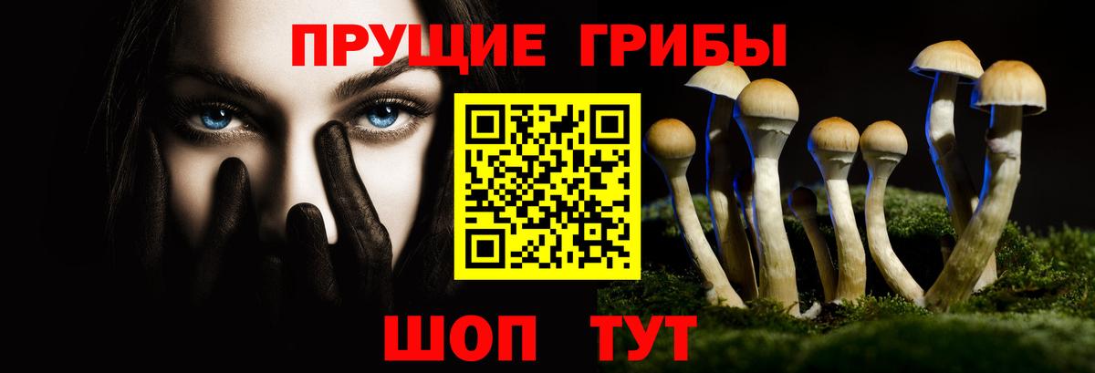 Назрань  Псилоцибиновые грибы Psilocybe  Вход с VPN 